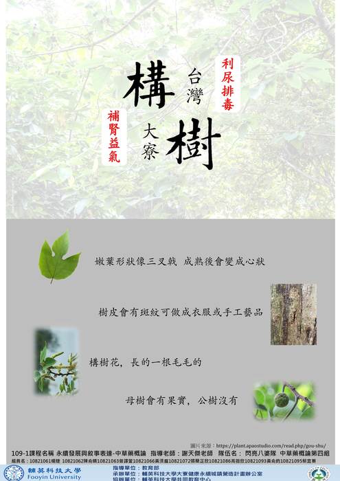 4圖片